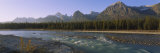Trees Along a River with a Mountain Range in Back, Athabasca River, Jasper National Park, Alberta