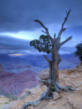 Arizona, Grand Canyon, from Moran Point, USA
