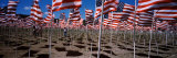 American Flags Laid Out in a Field, Questa, Taos County, New Mexico, USA