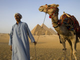 Camel Driver Stands in Front of the Pyramids at Giza, Egypt