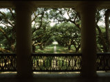 Oak Trees in Front of a Mansion, Oak Alley Plantation, Vacherie, Louisiana, USA