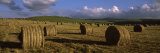 Buy Hay Bales in a Field, Underberg, Kwazulu-Natal, South Africa at AllPosters.com