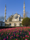 Blue Mosque, also known as the Sultanahmet Mosque, Gives its Name to the Surrounding Area