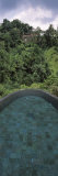 View of a Swimming Pool, Ubud Hanging Gardens, Ayung Valley, Ubud, Bali, Indonesia