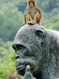 Hainan Province, Hainan Island, Monkey Island Research Park - a Gorilla Statue, China