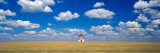 Barn in the Farm, Grant County, Minnesota, USA