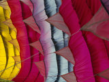 Buy Black Mountains, Paragliding Canopy, the Black Mountains, South Wales, England at AllPosters.com