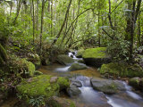 Rainforest and Waterfall in Biopark Near Entrance to Mount Kinabalu National Park, Sabah, Borneo