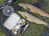 Two Fine Brown Trout Caught with Dapping Fly and Rod from a Boat on Loch Ba