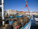 Fishing Boats in Victoria Dock, Hobart, Tasmania