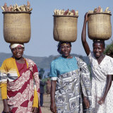 Buy Group of Cheerful Women Carry Sweet Potatoes to Market in Traditional Split-Bamboo Baskets at AllPosters.com
