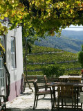 Buy Quinta Nova De Nossa Senhora Do Carmo Estate in Northern Portugal in the Renowned Douro Valley at AllPosters.com