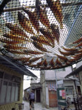 Fish are Laid Out to Dry Above Streets of Tai O - Fishing Village on Lantau Island, Hong Kong
