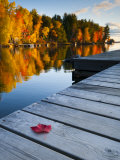 Maine, Baxter State Park, Lake Millinocket, USA
