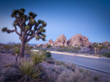 California, Joshua Tree National Park, USA