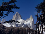 Santa Cruz Province, Cerro Fitzroy, in the Los Glaciares National Park, Framed by Trees, Argentina