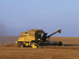 Lincolnshire, Walcot, Combine Harvester Harvesting Wheat, England