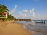 Buy Corn Islands, Little Corn Island, Beach Bar Near the Viillage, Nicaragua at AllPosters.com