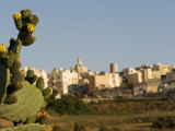 Mdina, View over the Surrounding Fields to the Ancient Walled City of Mdina, Malta