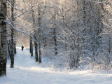 Pilgrims on the Way to the Bogorodichno-Uspenskij Monastery, Tikhvin, Leningrad Region, Russia