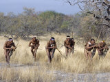 Buy Bushman Hunter-Gatherers Makes Stealthy Approach Towards an Antelope, Bows and Arrows at Ready at AllPosters.com