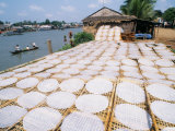 Buy Drying Rice Noodles in the Sun Beside the Mekong River in Sa Dec at AllPosters.com