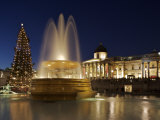 Christmas Tree and Fountains Lit Up in Trafalgar Square for Christmas