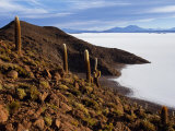 View from the Top of Isla De Pescado across the Salar De Uyuni, the Largest Salt Flat in the World