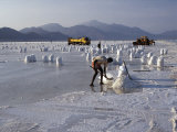 Buy At 509 Feet Below Sea Level, Lake Assal Is the Lowest Place in Africa, Ethiopia at AllPosters.com