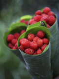 Buy Wild Raspberries Held in the Leaf of a Porcelaine Rose, Sao Tom&eacute; and Princip&eacute; at AllPosters.com