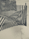 New York, Long Island, the Hamptons, Westhampton Beach, Beach Erosion Fence, USA