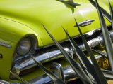 Buy Havana, Vintage American Cars, Havana, Cuba at AllPosters.com