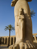 Colossal Statue of Ramses Ii Stands in the Great Forecourt of Karnak Temple, Luxor, Egypt