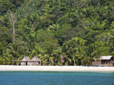 Buy Tela, Parque National Jeanette Kawas, Punta Sal, Cocalto Beach, Honduras at AllPosters.com
