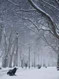 Hyde Park Snow Scene, London, England, UK