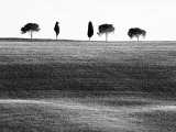 Buy Classic Tuscan Landscape, Near San Quirico, Valle De Orcia, Tuscany, Italy at AllPosters.com