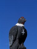 Carved Stone Condor on the Gatepost of the Church at the Village of Tahua on the Northern Shore of 