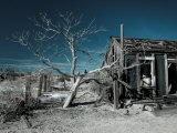 California, Cima, Mojave National Preserve, Abandoned Mojave Desert Ranch, Winter, USA