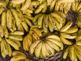 Port Louis, Central Market, Bananas, Mauritius