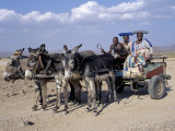 Buy Herero Man and Two Women Ride Home in a Donkey Cart, Namibia at AllPosters.com