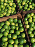 Buy Boxes of Limes, Oxkutzcab Market, Yucatan, Mexico at AllPosters.com