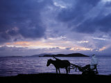 Buy Dawn at Lake Ziway, Central Ethiopia, with the Silhouette of a Horse-Drawn Buggy at AllPosters.com