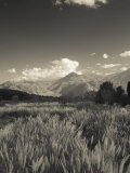 Mendoza Province, Uspallata, Andes Mountains and Rio Mendoza River, Argentina