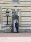 Guard Outside Buckingham Palace, London, England, United Kingdom, Europe