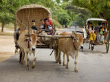 Buy Myanmar, Burma, Bagan, an Ox-Drawn Farm Cart Passes a Horse-Drawn Buggy on Road to Nyaung U Market at AllPosters.com