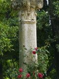 Andalucia, Seville, A Classical Column Surrounded by Roses in Gardens of Alcazar Palace, Spain