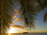 South Pacific, Fiji, Kadavu, Sunset Through Plams from the Beach on Dravuni Island