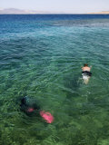 Buy Diver, Aqaba, Jordan, Middle East at AllPosters.com