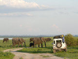Group of Elephants and Landrover, Chobe National Park, Botswana, Africa