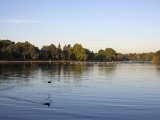 Boats on the Serpentine, Hyde Park, London, England, United Kingdom, Europe